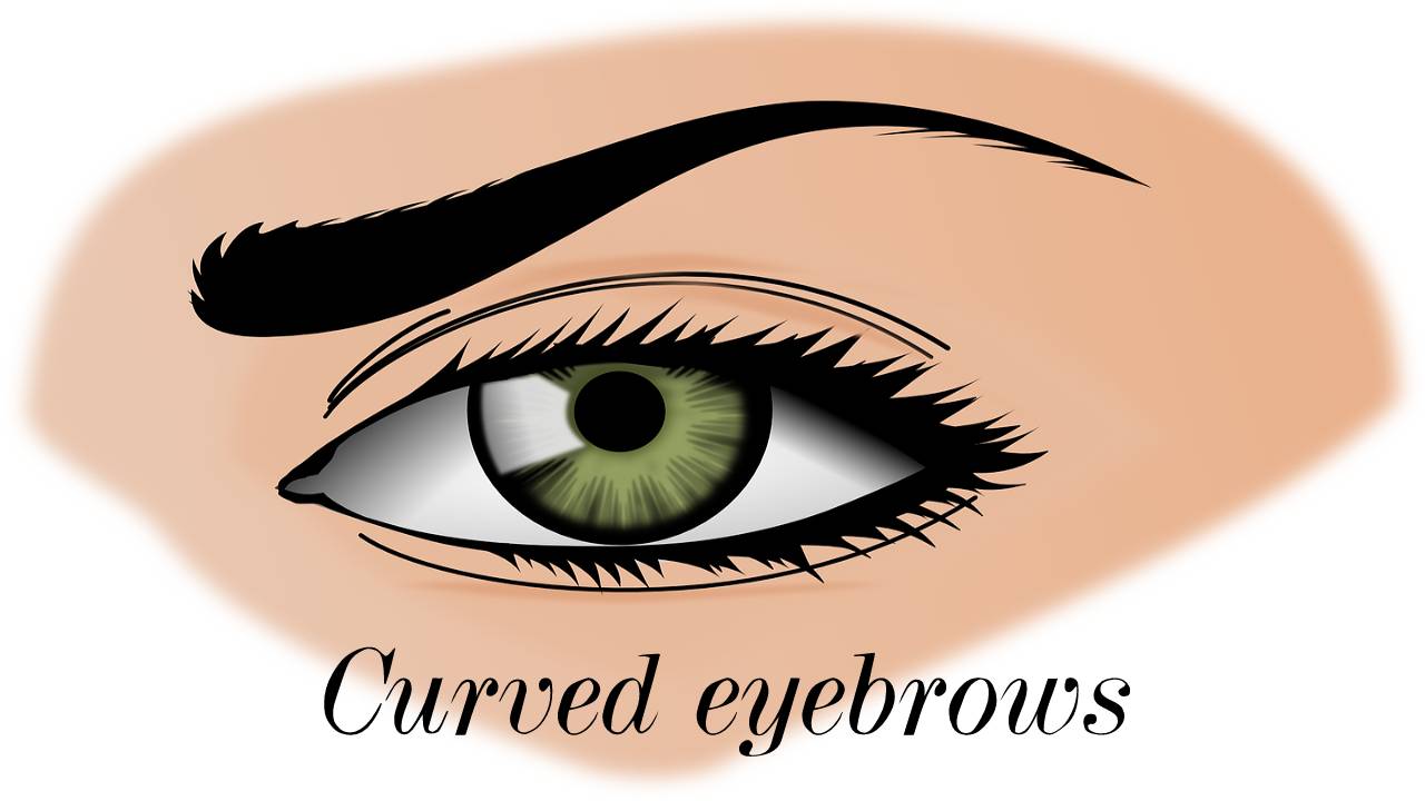 Curved eyebrows