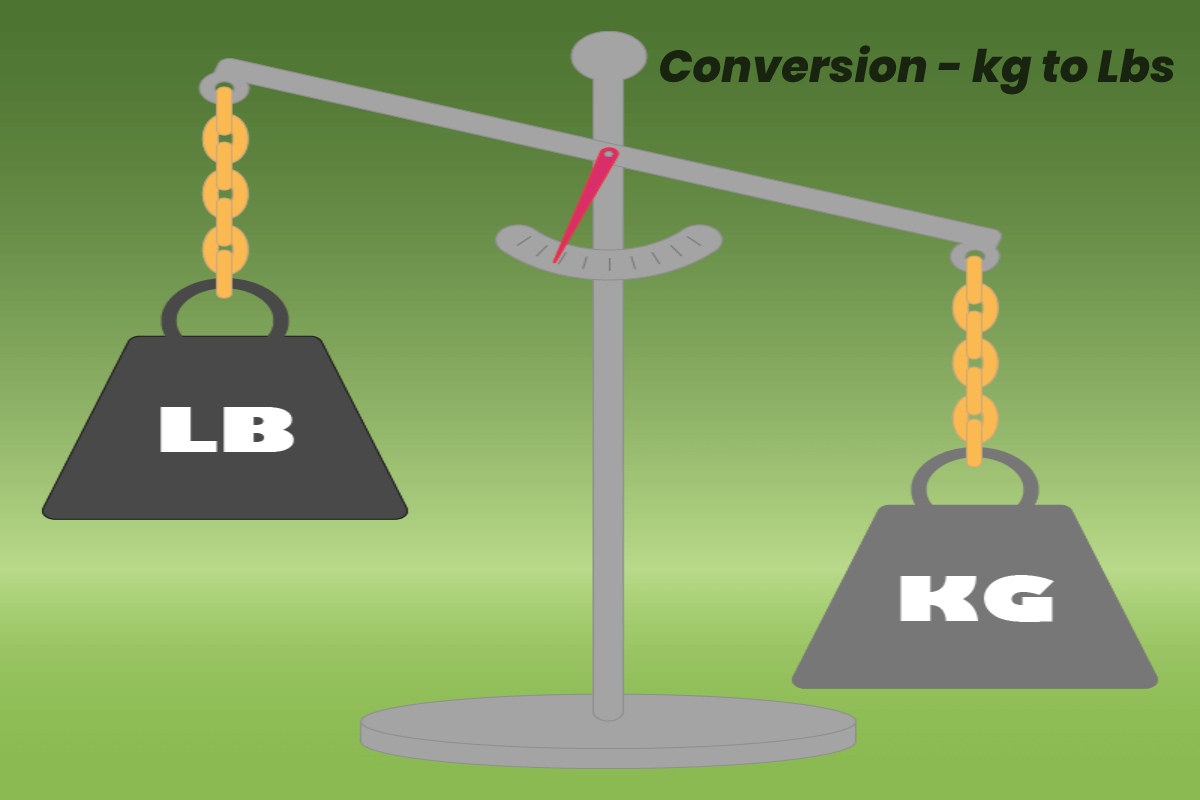 How to Convert 160 kg to lbs_