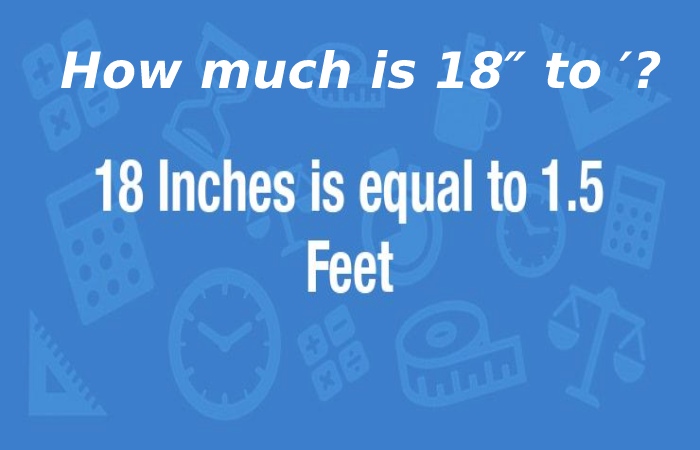 18 Inches To Feet 