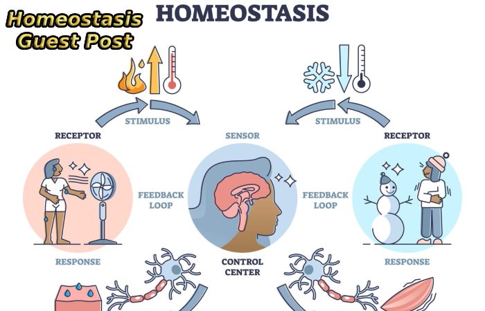 Homeostasis Guest Post