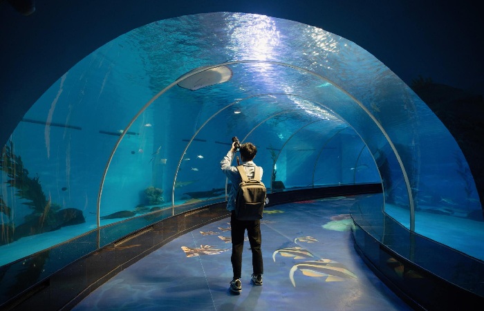 What's New at SEA LIFE Melbourne?
